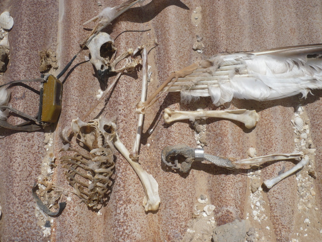 The remains of No11