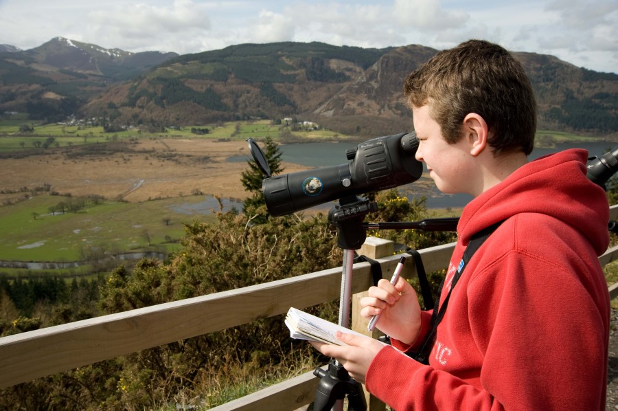 looking for ospreys